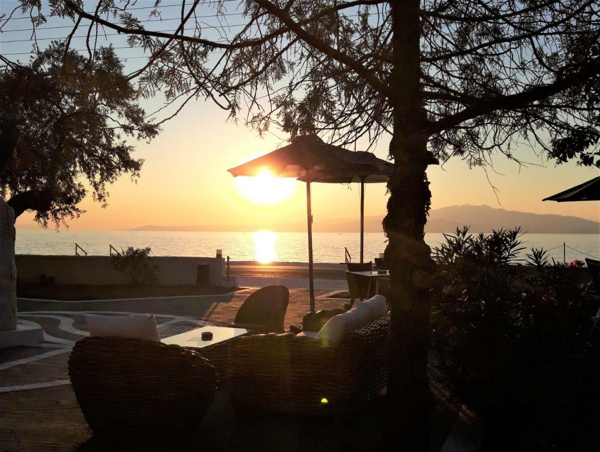 Orama Thassos Hotel สกาลาโซติรอส ภายนอก รูปภาพ