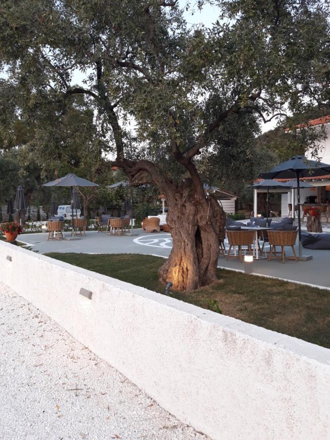 Orama Thassos Hotel สกาลาโซติรอส ภายนอก รูปภาพ